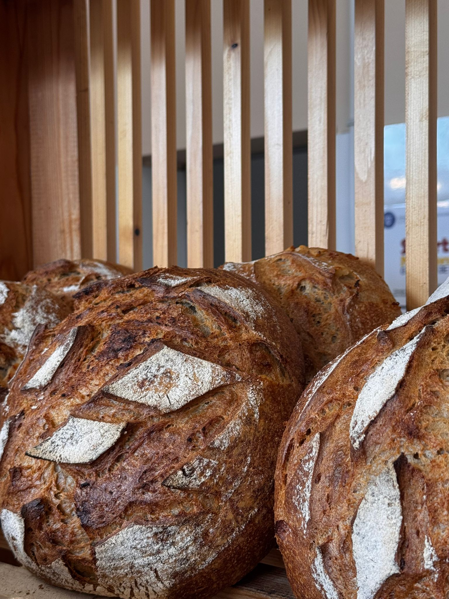 Pâine, focaccia, ciabatta și produse de panificație cu maia sălbatică – Odorheiu Secuiesc  